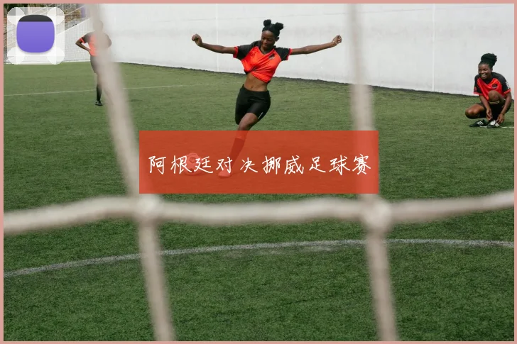 阿根廷对决挪威足球赛