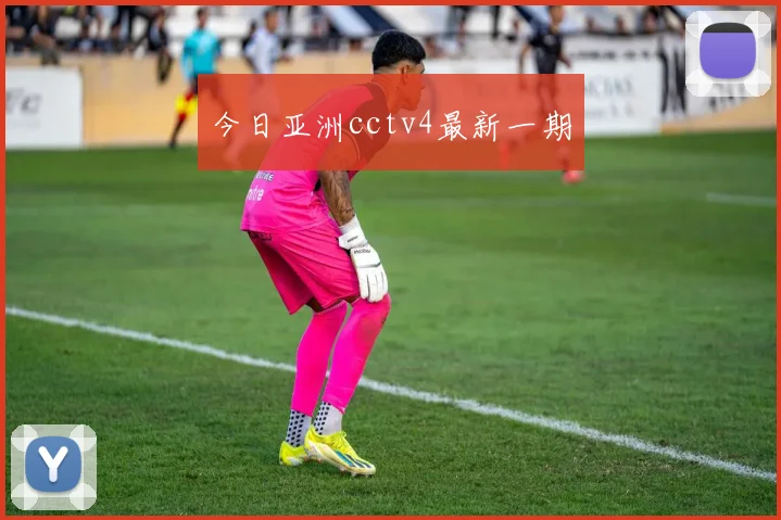 今日亚洲cctv4最新一期