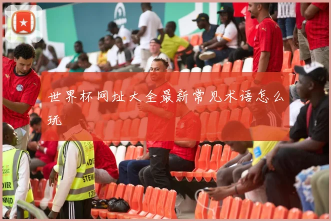 世界杯网址大全最新常见术语怎么玩