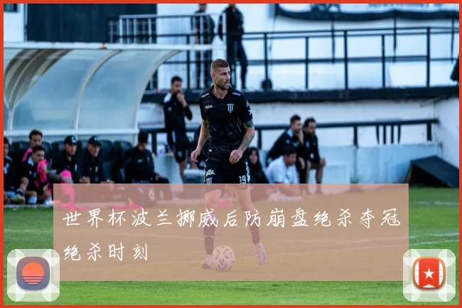 世界杯波兰挪威后防崩盘绝杀夺冠绝杀时刻