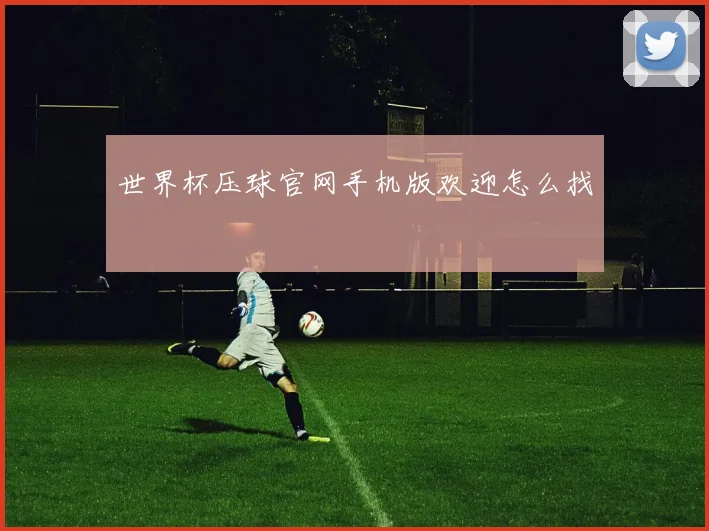 世界杯压球官网手机版欢迎怎么找